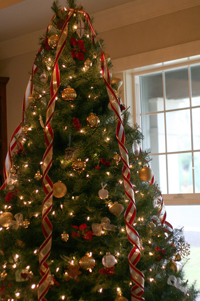 treetop treetop