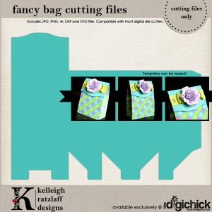 KelleighR-FancyBag-cf_LRG