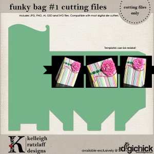 KelleighR-FunkyBag1-cf_LRG