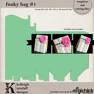 KelleighR-FunkyBag1-tp_LRG