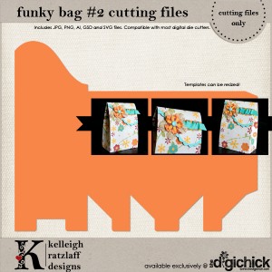 KelleighR-FunkyBag2-cf_LRG