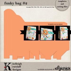 KelleighR-FunkyBag2-tp_LRG