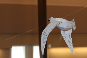 vbsbird