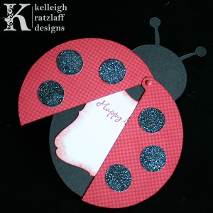 Ladybug3