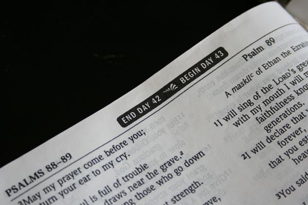 MyB90Bible-2