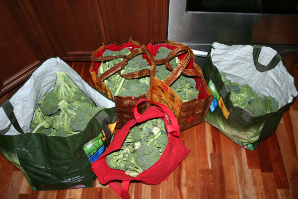 Broccoli