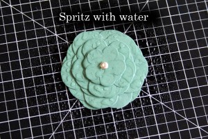 Step 4 - water
