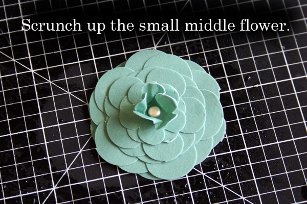 Step 5 - Scrunch