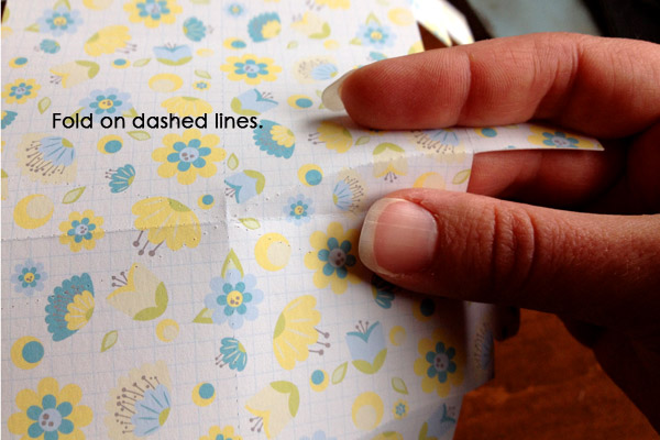 Fold on scored dashed lines